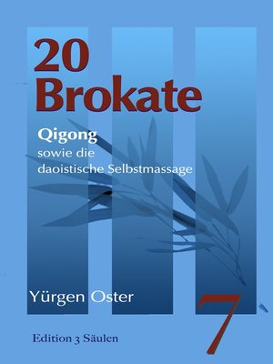 cover image of 20 Brokate Qigong